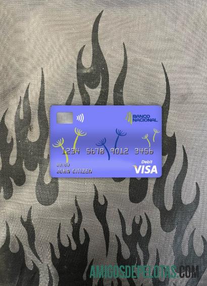 Costa Rica Banco Nacional Bank Visa Card Photolook Front baixar para verificação